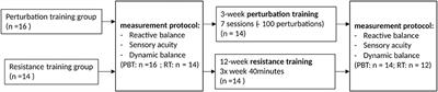 Adaptations in Reactive Balance Strategies in Healthy Older Adults After a 3-Week Perturbation Training Program and After a 12-Week Resistance Training Program